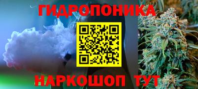 стафф Краснодар