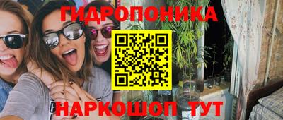 стафф Краснодар