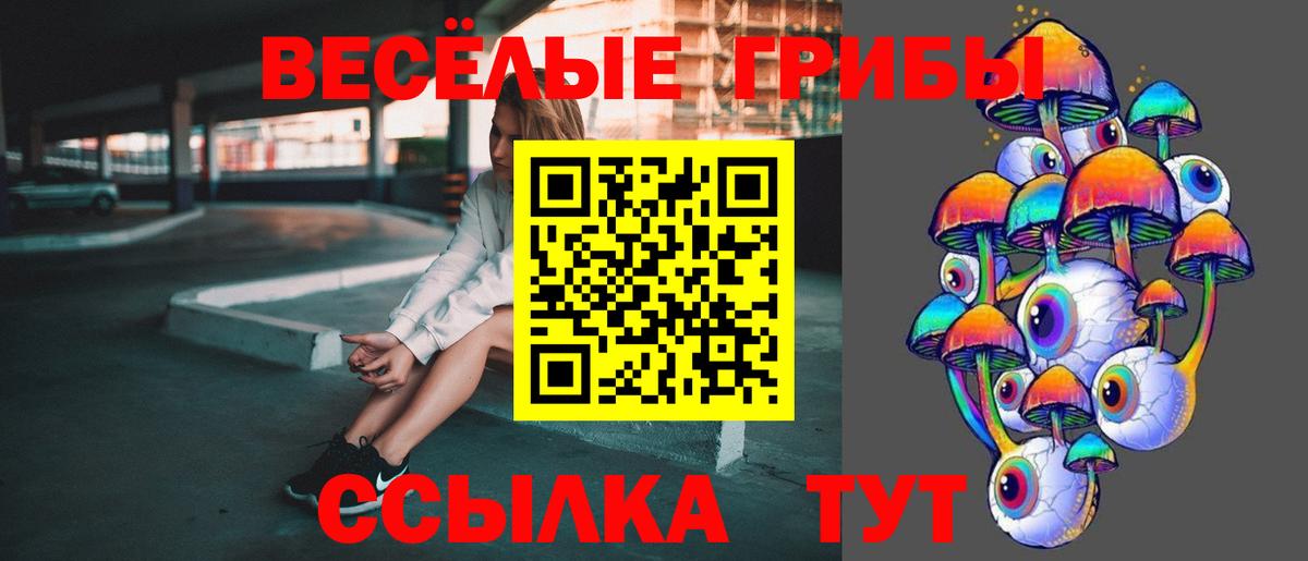 Чернушка  Галлюциногенные грибы прущие грибы  Вход с VPN 